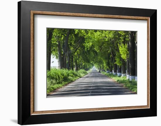 Romania, Danube River Delta, Salcioara, Country Road-Walter Bibikow-Framed Photographic Print