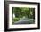 Romania, Danube River Delta, Salcioara, Country Road-Walter Bibikow-Framed Photographic Print