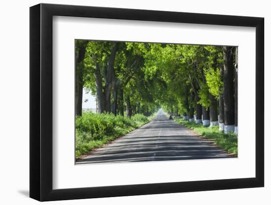 Romania, Danube River Delta, Salcioara, Country Road-Walter Bibikow-Framed Photographic Print