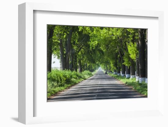 Romania, Danube River Delta, Salcioara, Country Road-Walter Bibikow-Framed Photographic Print