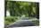 Romania, Danube River Delta, Salcioara, Country Road-Walter Bibikow-Mounted Photographic Print