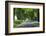 Romania, Danube River Delta, Salcioara, Country Road-Walter Bibikow-Framed Photographic Print