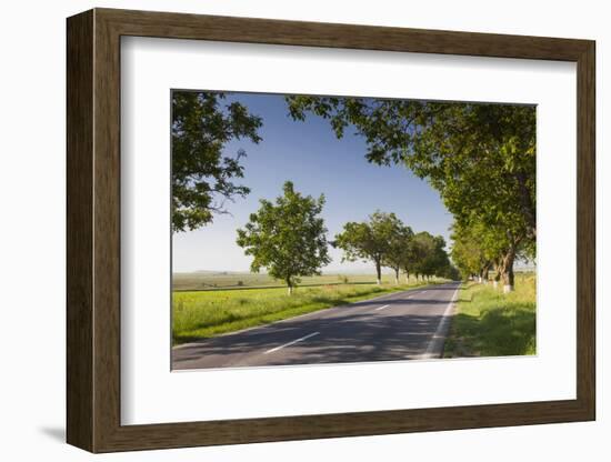 Romania, Danube River Delta, Tulcea, Country Road-Walter Bibikow-Framed Photographic Print