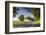 Romania, Danube River Delta, Tulcea, Country Road-Walter Bibikow-Framed Photographic Print