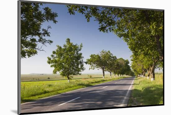 Romania, Danube River Delta, Tulcea, Country Road-Walter Bibikow-Mounted Photographic Print