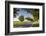 Romania, Danube River Delta, Tulcea, Country Road-Walter Bibikow-Framed Photographic Print