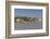 Romania, Danube River Delta, Tulcea, Danube River Waterfront-Walter Bibikow-Framed Photographic Print