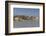 Romania, Danube River Delta, Tulcea, Danube River Waterfront-Walter Bibikow-Framed Photographic Print