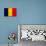 Romania Flag Design with Wood Patterning - Flags of the World Series-Philippe Hugonnard-Art Print displayed on a wall