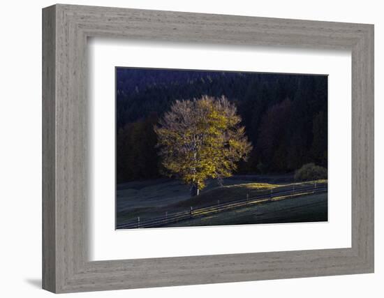 Romania Landscape II-Art Wolfe-Framed Photographic Print