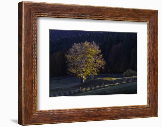 Romania Landscape II-Art Wolfe-Framed Photographic Print