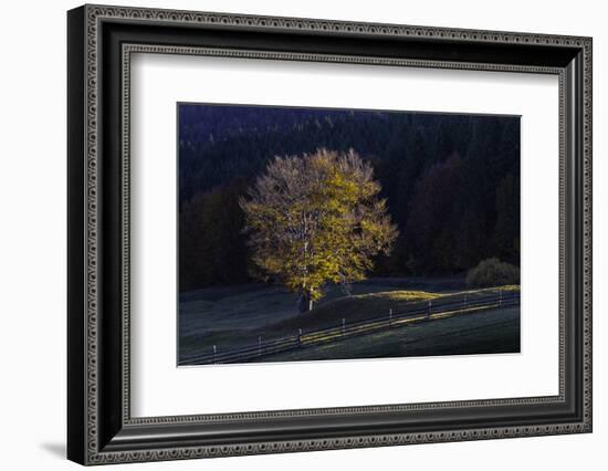 Romania Landscape II-Art Wolfe-Framed Photographic Print