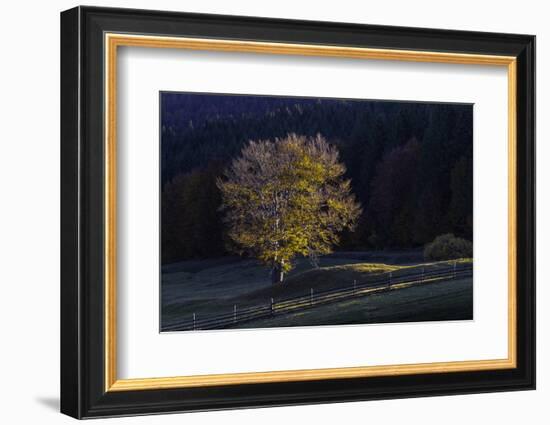 Romania Landscape II-Art Wolfe-Framed Photographic Print