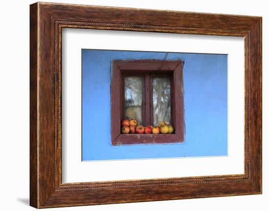 Romania, Maramures County, Dobricu Lapusului. Farm Window with apples.-Emily Wilson-Framed Photographic Print