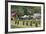 Romania, Maramures Region, Rona de Jos, Village View with Haystacks-Walter Bibikow-Framed Photographic Print