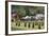 Romania, Maramures Region, Rona de Jos, Village View with Haystacks-Walter Bibikow-Framed Photographic Print