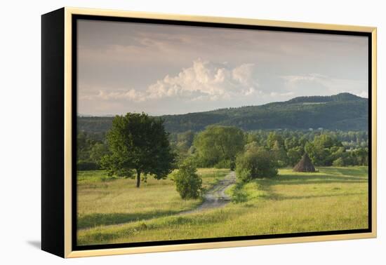 Romania, Maramures Region, Sarasau, Country Road by Ukrainian Frontier-Walter Bibikow-Framed Premier Image Canvas