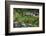 Romania, Maramures, Statiunea Borsa, Ski Resort, Spring, Village View-Walter Bibikow-Framed Photographic Print