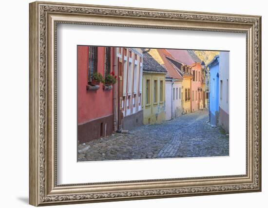 Romania, Sighisoara, cobblestone residential street of colorful houses in village.-Emily Wilson-Framed Photographic Print