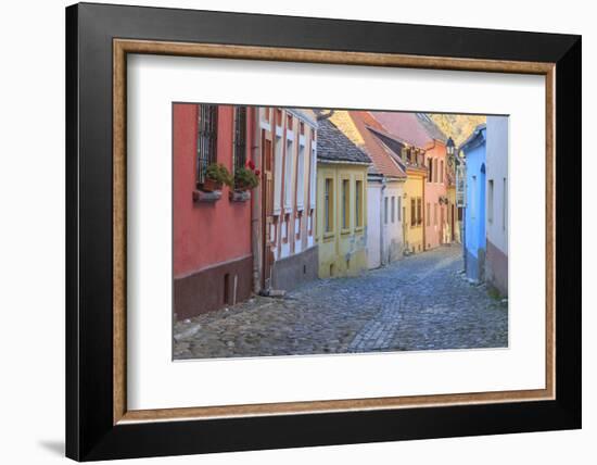 Romania, Sighisoara, cobblestone residential street of colorful houses in village.-Emily Wilson-Framed Photographic Print