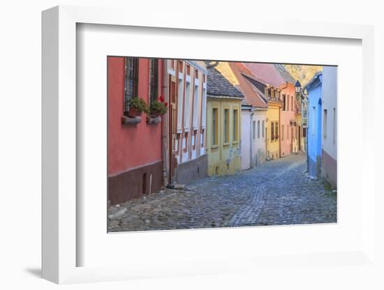 Romania, Sighisoara, cobblestone residential street of colorful houses in village.-Emily Wilson-Framed Photographic Print