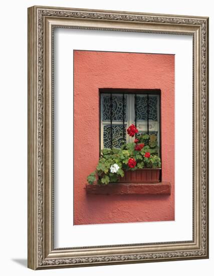 Romania, Sighisoara, residential window in old town. Flowers in window.-Emily Wilson-Framed Photographic Print