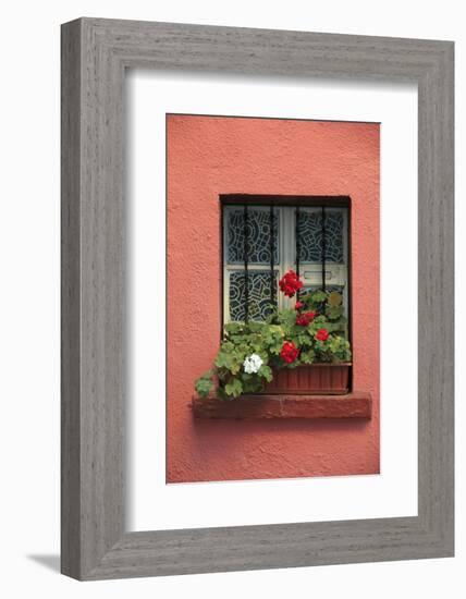 Romania, Sighisoara, residential window in old town. Flowers in window.-Emily Wilson-Framed Photographic Print