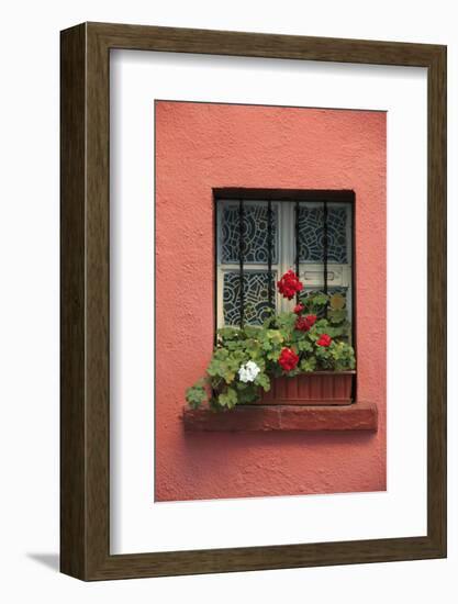 Romania, Sighisoara, residential window in old town. Flowers in window.-Emily Wilson-Framed Photographic Print