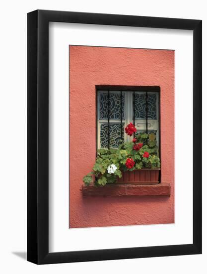 Romania, Sighisoara, residential window in old town. Flowers in window.-Emily Wilson-Framed Photographic Print