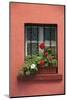 Romania, Sighisoara, residential window in old town. Flowers in window.-Emily Wilson-Mounted Photographic Print