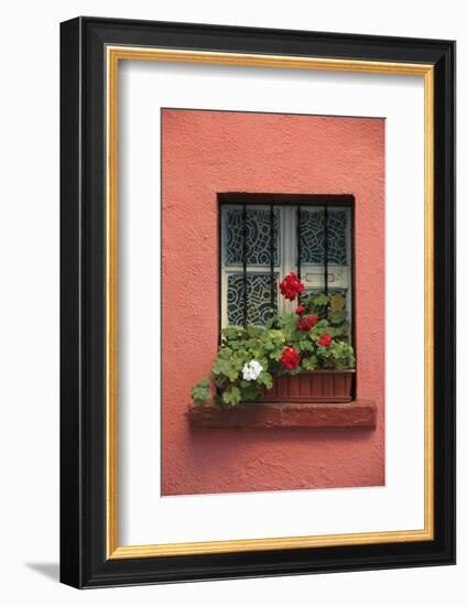 Romania, Sighisoara, residential window in old town. Flowers in window.-Emily Wilson-Framed Photographic Print