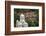 Romania, Transylvania, Brasov, Buna Vestire Orthodox Church-Walter Bibikow-Framed Photographic Print