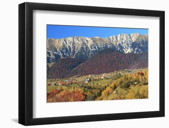 Romania, Transylvania, Carpathian Mountains, Magura, Fall Colors.-Emily Wilson-Framed Photographic Print