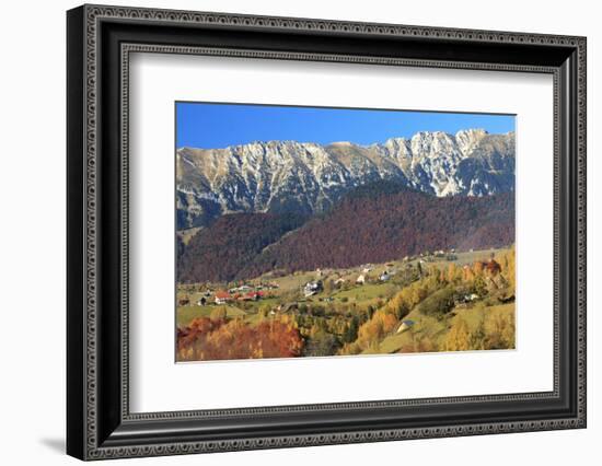 Romania, Transylvania, Carpathian Mountains, Magura, Fall Colors.-Emily Wilson-Framed Photographic Print