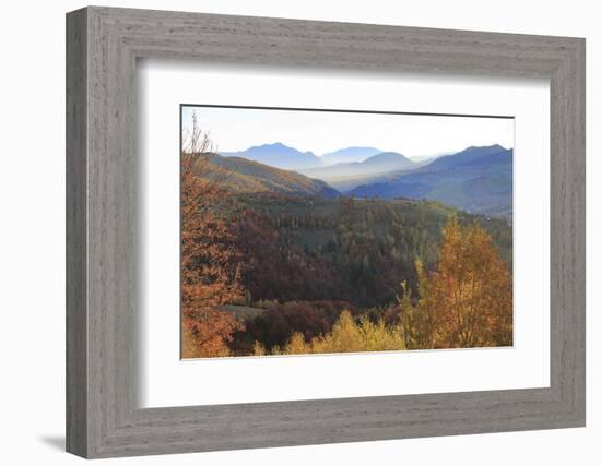 Romania, Transylvania, Carpathian Mountains, Magura, Piatra Craiului National Park. Fall colors.-Emily Wilson-Framed Photographic Print