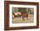 Romania, Transylvania, Carpathian Mountains, Piatra Craiului National Park. Horse-Emily Wilson-Framed Photographic Print