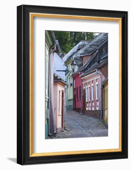 Romania, Transylvania, Sighisoara, Old Town Building Details-Walter Bibikow-Framed Photographic Print