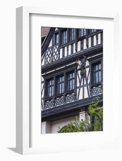Romania, Transylvania, Sinaia, Peles Castle, Palace Buildings-Walter Bibikow-Framed Photographic Print