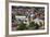 Romania, Transylvania, Targu Mures, View of the Town Synagogue-Walter Bibikow-Framed Photographic Print