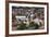 Romania, Transylvania, Targu Mures, View of the Town Synagogue-Walter Bibikow-Framed Photographic Print