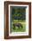 Romania, Transylvania, Tihuta Pass, Horse in Pasture-Walter Bibikow-Framed Photographic Print