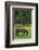 Romania, Transylvania, Tihuta Pass, Horse in Pasture-Walter Bibikow-Framed Photographic Print