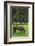 Romania, Transylvania, Tihuta Pass, Horse in Pasture-Walter Bibikow-Framed Photographic Print