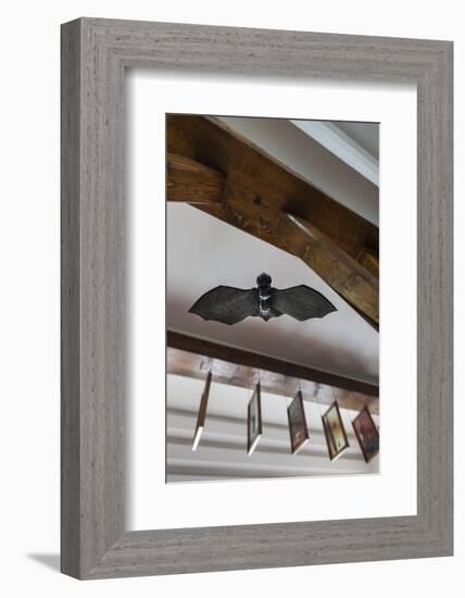 Romania, Transylvania, Tihuta Pass, Hotel Castel Dracula, Bat Art-Walter Bibikow-Framed Photographic Print