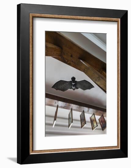 Romania, Transylvania, Tihuta Pass, Hotel Castel Dracula, Bat Art-Walter Bibikow-Framed Photographic Print