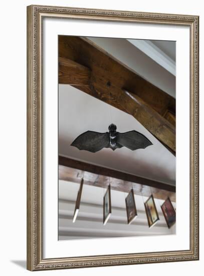 Romania, Transylvania, Tihuta Pass, Hotel Castel Dracula, Bat Art-Walter Bibikow-Framed Photographic Print