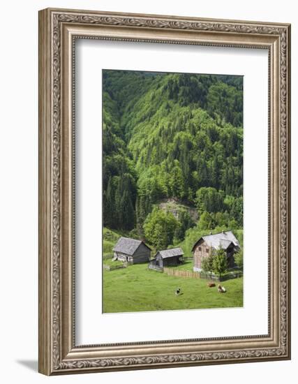 Romania, Transylvania, Tihuta Pass, Mountain Buildings of the Pass-Walter Bibikow-Framed Photographic Print