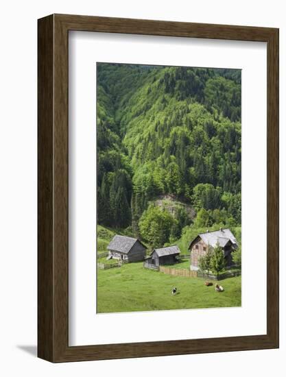 Romania, Transylvania, Tihuta Pass, Mountain Buildings of the Pass-Walter Bibikow-Framed Photographic Print