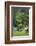 Romania, Transylvania, Tihuta Pass, Mountain Buildings of the Pass-Walter Bibikow-Framed Photographic Print