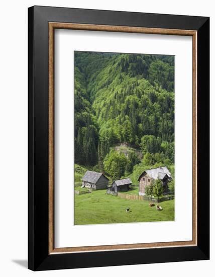 Romania, Transylvania, Tihuta Pass, Mountain Buildings of the Pass-Walter Bibikow-Framed Photographic Print